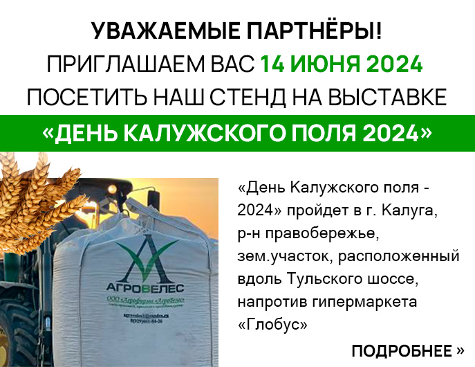 День калужского Поля 2023